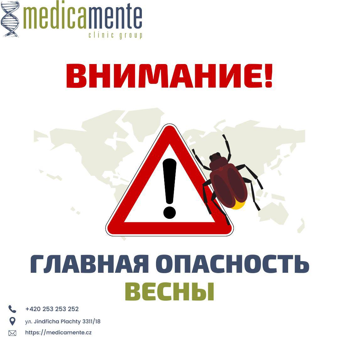 Осторожно, клещи ⚠️